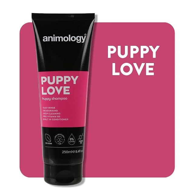 Foto 2 de 8 de Animology Champú Puppy Love