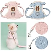 Oiieco 2 Stück Kaninchen Leine, Verstellbares Kaninche Geschirr,120cm Weiches Kaninchen Leine,Geeignet,Kaninchengeschirr,für Kleine Häschen Katze Hunde Und Andere Kleine Haustiere