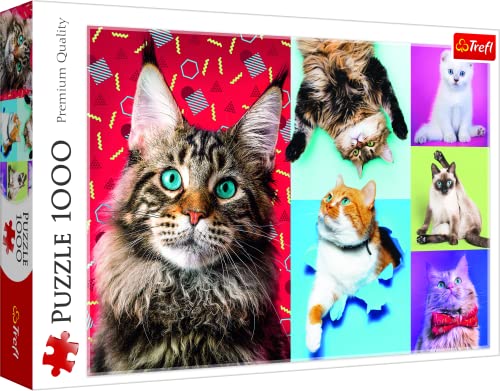 Trefl, Puzzle, Gatos Felices, de 1000 Piezas, Collage con Gatos adorables, Gatos Divertidos, Gato,...