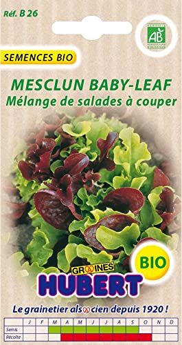Graines de Mesclun Baby Leaf avec Roquette BIO - 3 grammes