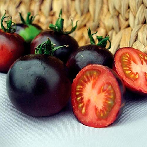 Austinstore 200 Stks Organische Zeldzame Tomatenzaden Heerlijk Fruit Groente Thuis Tuin Decor Zaad Behoefte Gek Mengsel… - Afbeelding 7