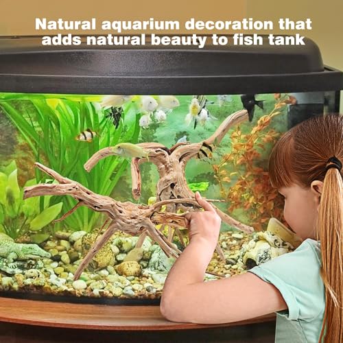 Image of WDEFUN Natural Spiderwood for Aquarium Decor 7-Piece 4''-8'' Long Natural Driftwood Branches for Fish Tank Decorations