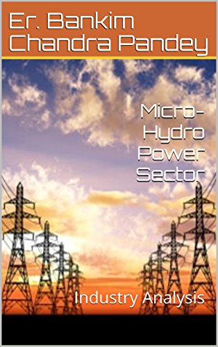 Micro-Hydro Power Sector: Industry Analysis (English Edition)