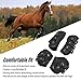 FAUOSWUK Horse Front Hind Leg Boots, Shock Absorption Breathable Open Front PU Shell Horse Tendon Boots for Jumping Show Riding with Neoprene Lining and Straps (L)