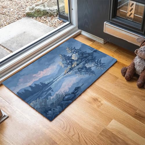 Paillasson Lavable Machine Tapis Entrée Doux Bleu 80x120 - 4