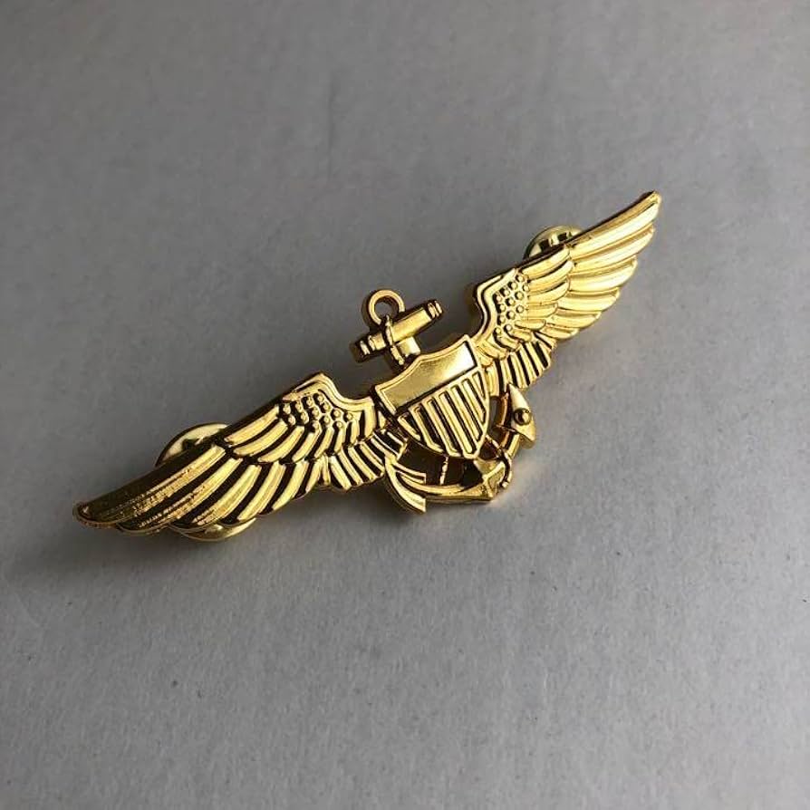 実物 アメリカ海軍 Aviator（パイロット）章 （トップガン