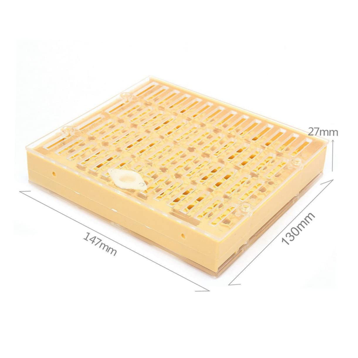 Box di Allevamento Regine per Apicoltura in Abs, Set | Protezione per Celle Regina, Struttura Leggera, Uso Pratico Nell'arnia, Accessorio per Allevamento Colore Casuale
