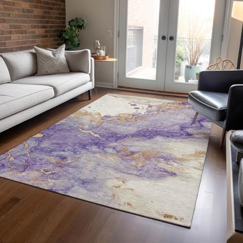 Addison Rugs Chantille ACN1794 Purple 3' x 5' Indoor/Outdoor, Machine Washable, Easy Clean, Non Shedding, Bedroom, Living Room, Dining Room, Kitchen, Patio Rug by Addison Rugs - Used condition - US$29.08