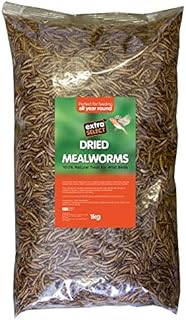 Extra Select Dried Mealworms Wild Bird Treat 5ltr (1kg)