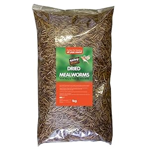 Extra Select Dried Mealworms for Wild Birds: Protein Rich Wild Bird Food for Robins to Finches – Meal Worms for Garden Birds – 5 Litre Refill (1 kg)