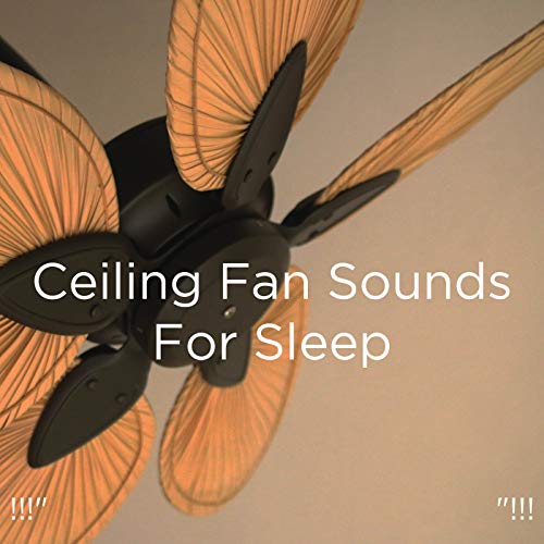 Écouter !!!" Ceiling Fan Sounds For Sleep "!!! de White Noise Baby