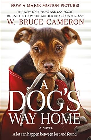 A Dog S Way Home Dog S Way Home Tale Book 1 By W Bruce Cameron