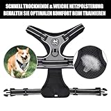 PoyPet No Pull Hundegeschirr, reflektierendes Westengeschirr mit 2 Leinenbefestigungen und einfachem Steuergriff für kleine mittelgroße Hunde (Grau, S (1er Pack))