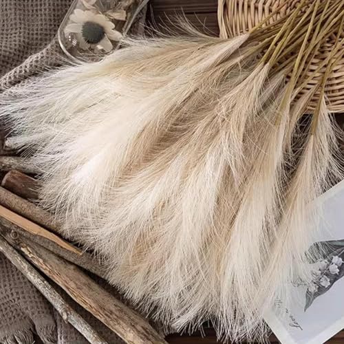 Decoración Boho Hierba Pampas Artificial 10 Pzs 55 cm miniatura 2