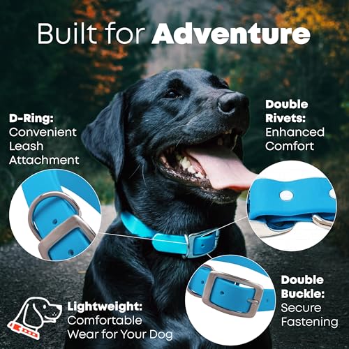 Collar para perro mediano azul claro ajustable y resistente miniatura 3