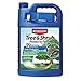 Bayer Advanced 701615 12 Month Tree and Shrub Protect and Feed Concentrate, 1-Gallon
