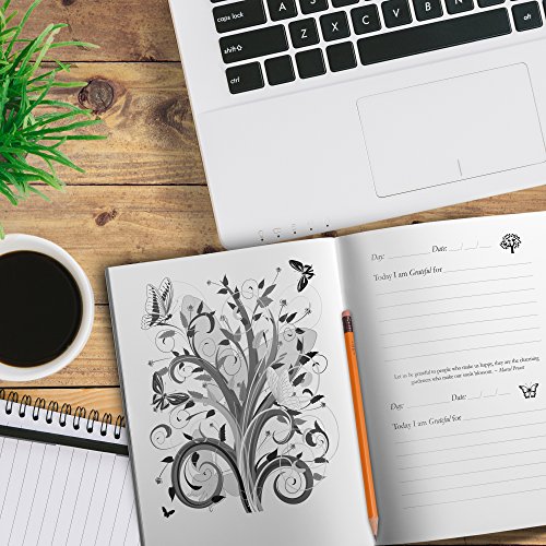 The One-minute Gratitude Journal