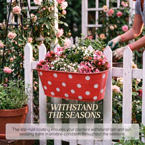 Image of TrustBasket Dotted Oval Railing Planters Basket - Red (Set of 5) | Hanging Planter | Anti Rust Plant Container Gamla for Home Decor | Indoor & Outdoor