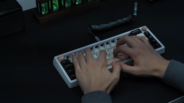 Amazon.com: MELETRIX WS Heavy Tactile Mechanical Keyboard Lubed