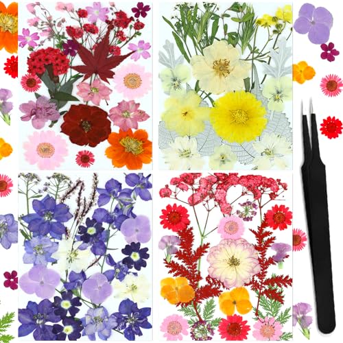 Juego de 82 flores secas prensadas naturales, rojo miniatura 1