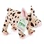 Spotted Pig