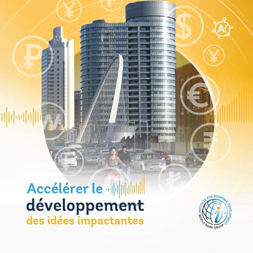 Épisode 13 Inverser la Tendance : Comment Redresser l'Investiment Mondial dans un Monde Fragmenté