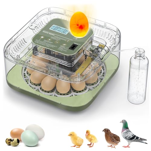Incubators for Hatching Eggs, 12 Eggs Capacity, Egg Incubator with Automatic Egg Turning and Humidity Control for All Poultry - Chickens, Ducks, Quails, Turkeys, and More (Green)