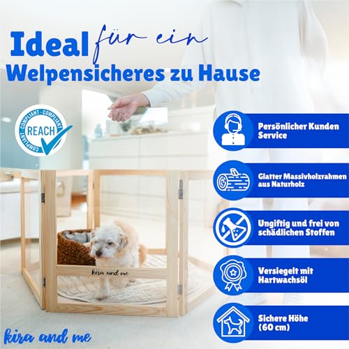 Emma Hundelaufstall Welpenauslauf [Massivholz Acrylglas] Welpenlaufstall mobiler Hundezaun | modernes Design | 60cm hoch
