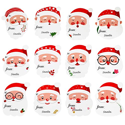 228 Pieces Christmas Name Tag Stickers Cute from Santa Tag Stickers Smile Santa Stickers Labels Stickers for Party Favors Christmas 12 Designs 19 Sheets