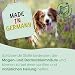 cdVet Magenschutz 2kg - Pulver zur Förderung der Gesundheit von Magen und Darm für Hunde und Katzen