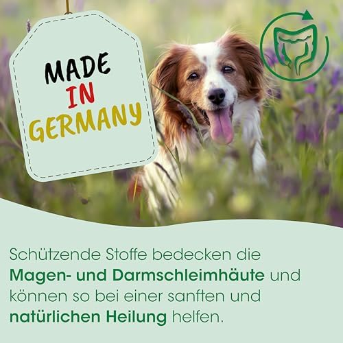 cdVet Magenschutz 2kg - Pulver zur Förderung der Gesundheit von Magen und Darm für Hunde und Katzen