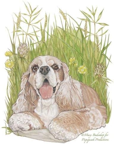 Cocker Spaniel Note Cards Set of 10 cards & 10 envelopes