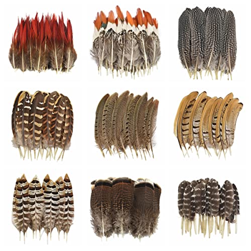 Queenbox 20Pcs Natural Peacock Feather, Pheasant Plumage For Diy Craft Costume Dream Catcher Wedding Festival, 10 #TOP5