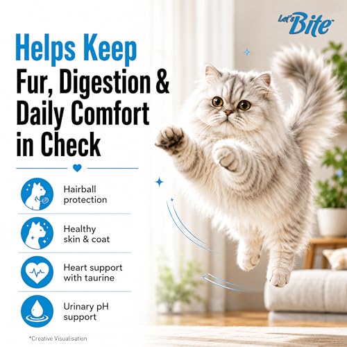 Image of Let's Bite Persian Dry Adult Cat Food 1kg | Ocean Fish (Total 2kg)