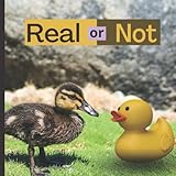 Real or Not: Simply have your child point to the 'Real' picture, or the fake or 'Not' picture. This...