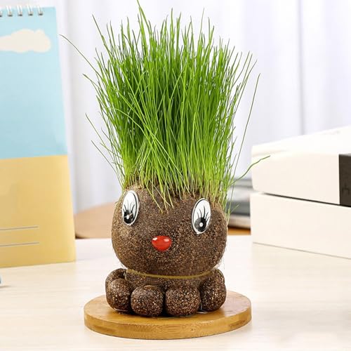 Pequeño paisaje con plantas para decorar el aula escolar 6