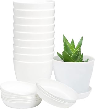 TDHDIKE 10 Pcs Plastic Planters Indoor Flower Plant Pots, Mini Flower Seedlings Nursery Pot/Planter/Flower Pot with Pallet, Modern Decorative Gardening Containers White