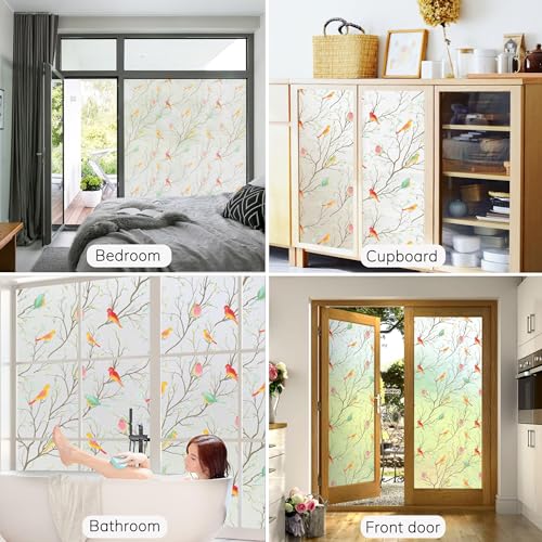 Image of WOO Home Frosted Glass Window Film & Stickers (12 X 60 Inchs) Privacy Window Cover for Home & Office - Easy Apply, UV Protection, Removable Decorative Film (Multi Colour Bird 1 X 5 SQFT)