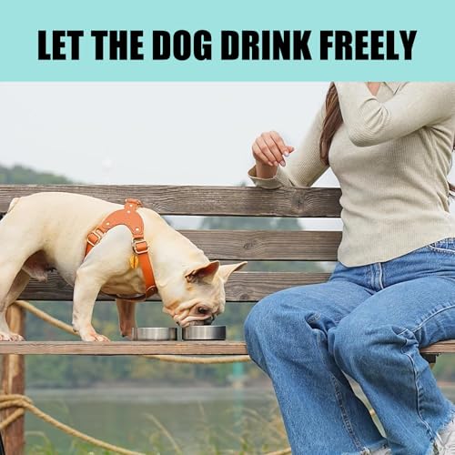 950ML 3 in 1 Hundetrinkflasche für unterwegs, Isolierte Edelstahl Trinkflasche Hunde für unterwegs mit Fressnapf & Wassernapf, Thermoflasche Hund für Reise Outdoor (Blau, L)