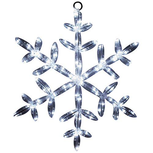 Brite Star 46-724-00 Tube Light Snowflake, 18", Pure White #TOP7