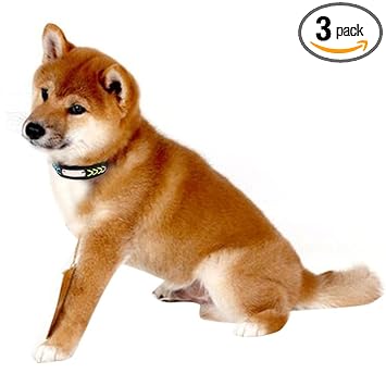 GIANTE Pet Dog Braided Leather Collar Cat Buckle Puppy Collar Neck Strap Colorful