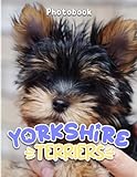 Photo Gallery yorkshire terriers photo book: containing 40 cute and beautiful yorkie photos inside | relaxation and decoration gifts for children and adults Photo Gallery yorkshire terriers photo book: containing 40 cute and beautiful yorkie photos inside | relaxation and decoration gifts for children and adults