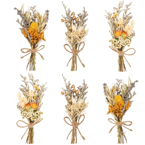LAUMOE 6 pacotes de flores secas, flores secas, flores secas para artesanato, flores secas pequenas para molduras, artesanato, festas em casa e decoração de casamento (estilo 1)
