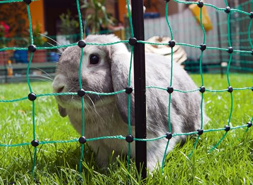 Koeravoodi – tugev suurus Unisex, värv Clear (Kerbl Pet)