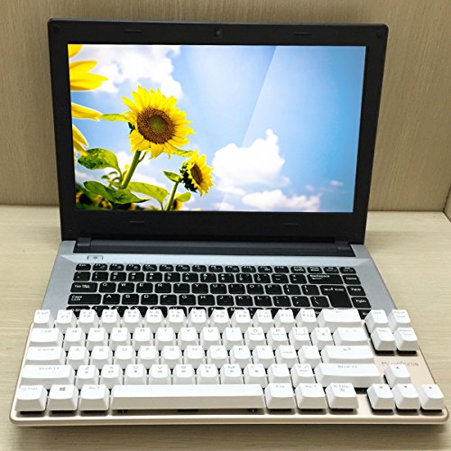 Image of Qisan Happy Deals 10% Discount Off Mechanical Keyboard Gaming Keyboard Blue Switch 68-Keys Mini Design (60%) Gaming Wired Keyboard White Silver Magicforce