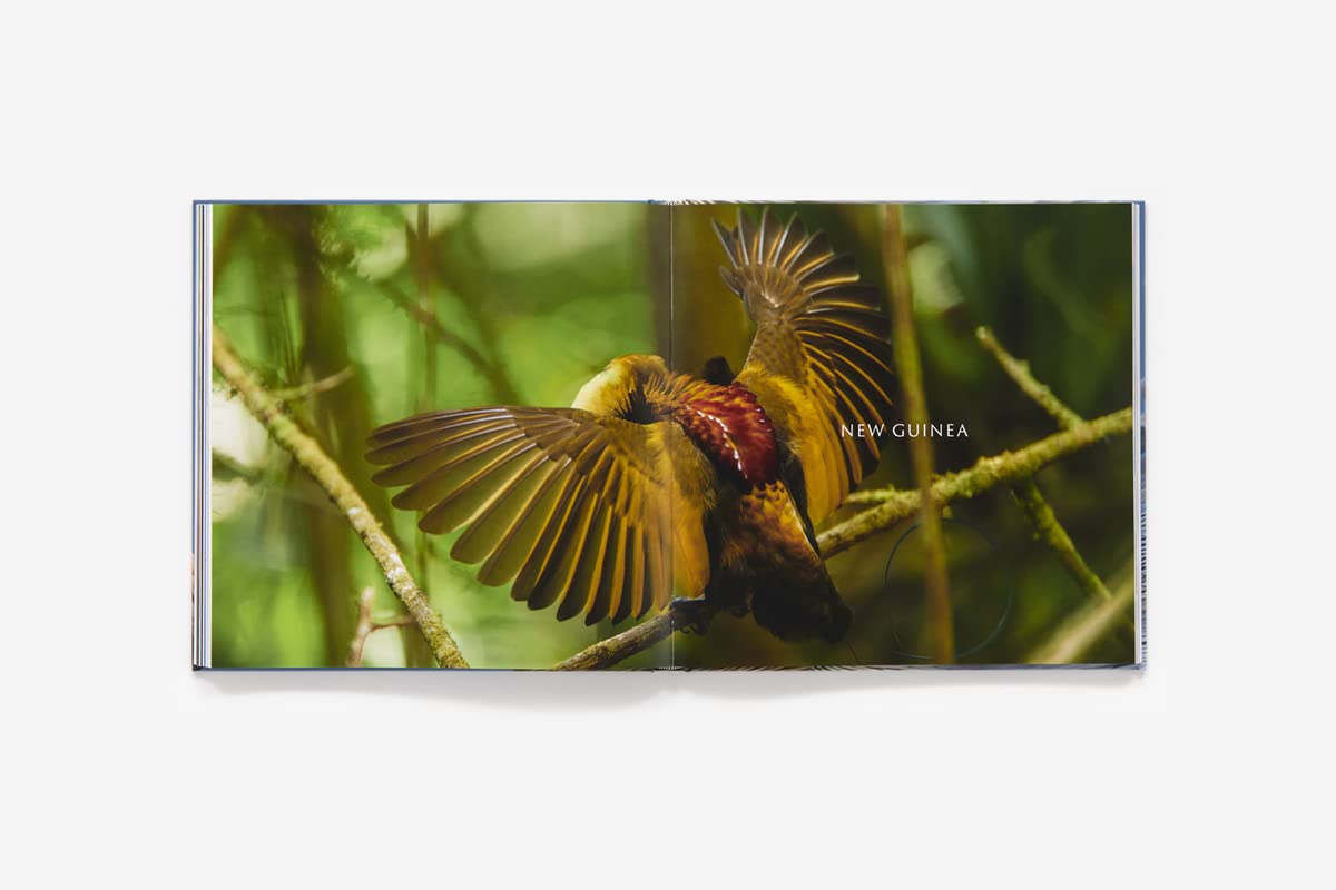 Bird Planet: A Photographic Journey