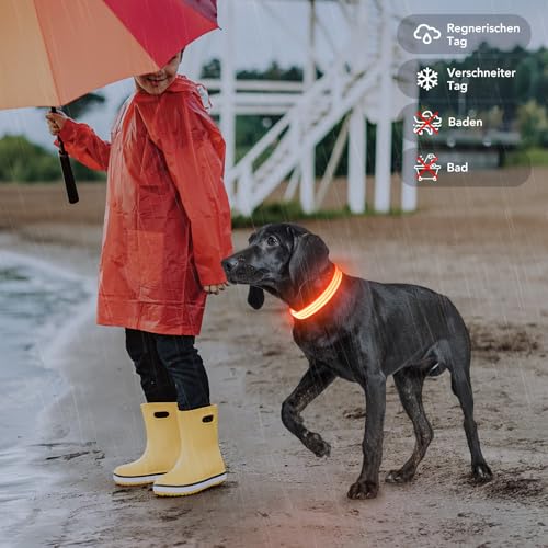 PZRLit LED Hundehalsband – Leuchthalsband Hund Verstellbar, Reflektierendes & Wasserdichtes Hundehalsband, USB Aufladbares Sicherheitshalsband für Kleine Mittel Große Hunde, Halsbänder