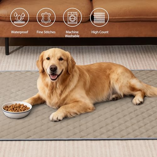 Image of Eterish Washable Pee Pads for Dogs Extra Large 48'' x 60'' 2 Pack | Reusable Absorbent Pet Puppy Dog Training Pads Non-Slip, Waterproof Whelping Potty Pads for Dogs Leak-Proof