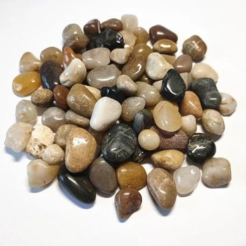TODOSTONES Piedras Super Lisas de Color Negras o variadas, para decoración de jardín, el Interior de la Vivienda, macetas y acuarios o terrarios (1Kg, Super Pulida Surtido Grande)