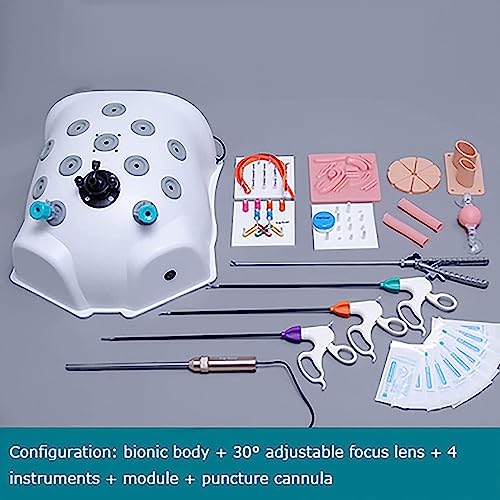 Laparoscopic Trainer Box, Laparoscopic Endo Trainer, Com 9móDulos De Treinamento + 4 Instrumentos De